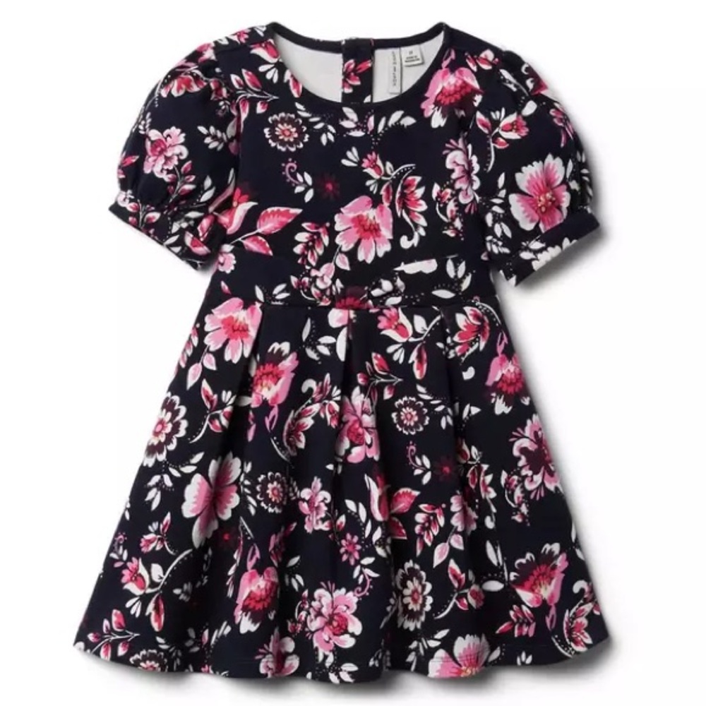 NWT JANIE AND JACK FLORAL PUFF SLEEVE DRESS